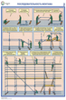 ПС26 Строительные леса (конструкции, монтаж, проверка на безопасность) (ламинированная бумага, a2, 3 листа) - Охрана труда на строительных площадках - Плакаты для строительства - vektorb.ru